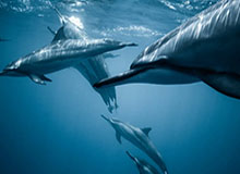 我问了懂行的人：关于爱游戏官方入口的假客服套路，我把关键证据整理出来了