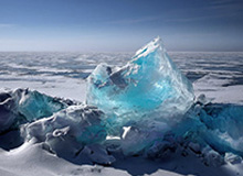 凯恩没进球却成焦点,伊朗队的让球反倒最抢戏,49图库港澳伤停表也对上了